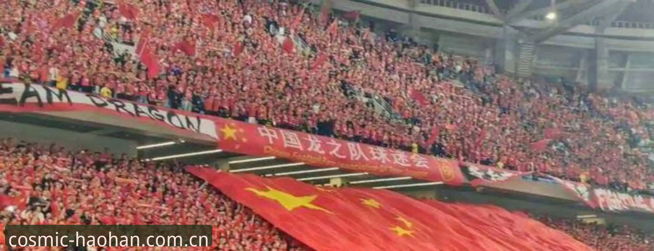 2026世界杯观赛签证危机深度解析